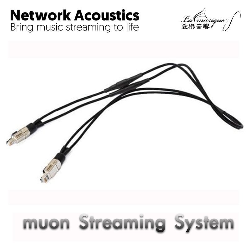 英國 Network Acoustics muon Streaming cable 英國製