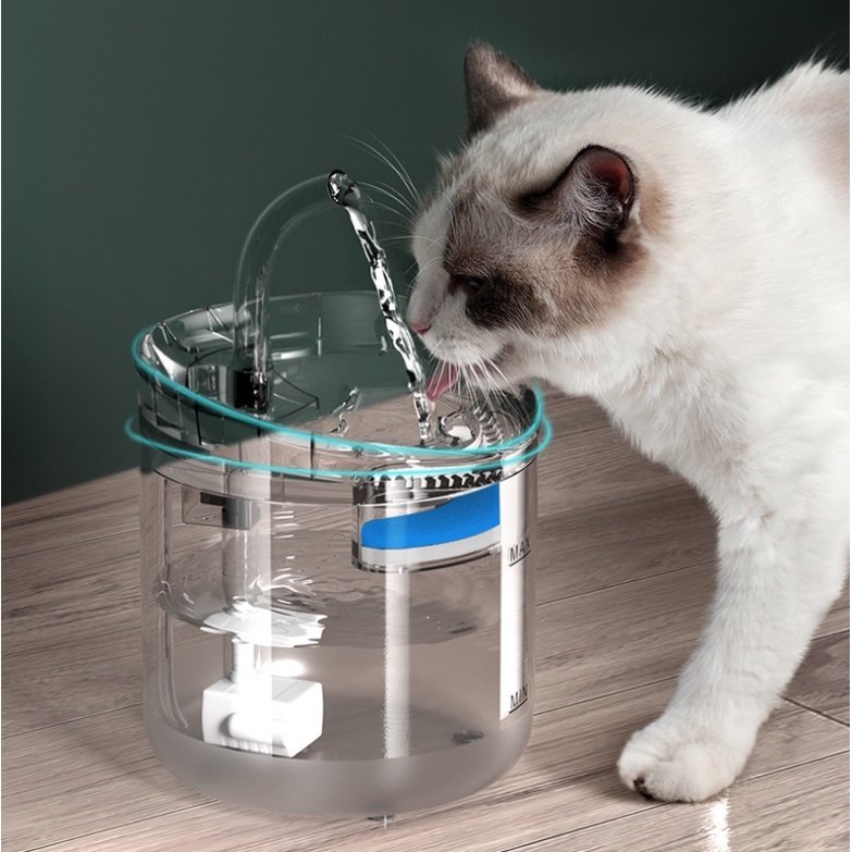 貓咪飲水機 寵物飲水機 貓貓狗狗 智能飲水 自動循環過濾 愛寵 活水機 自動飲水機 狗飲水機 靜音貓狗餵水器 透明標準款