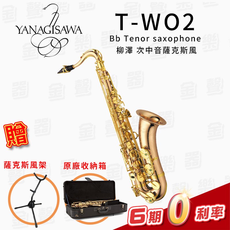 【金聲樂器】日本製 YANAGISAWA T-WO2 Bb Tenor Sax 柳澤 次中音薩克斯風 T-WO2