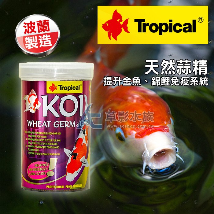 【 ac 草影】 tropical 德比克 金魚錦鯉免疫蒜精 1000 ml 【一罐】 bpb 05070