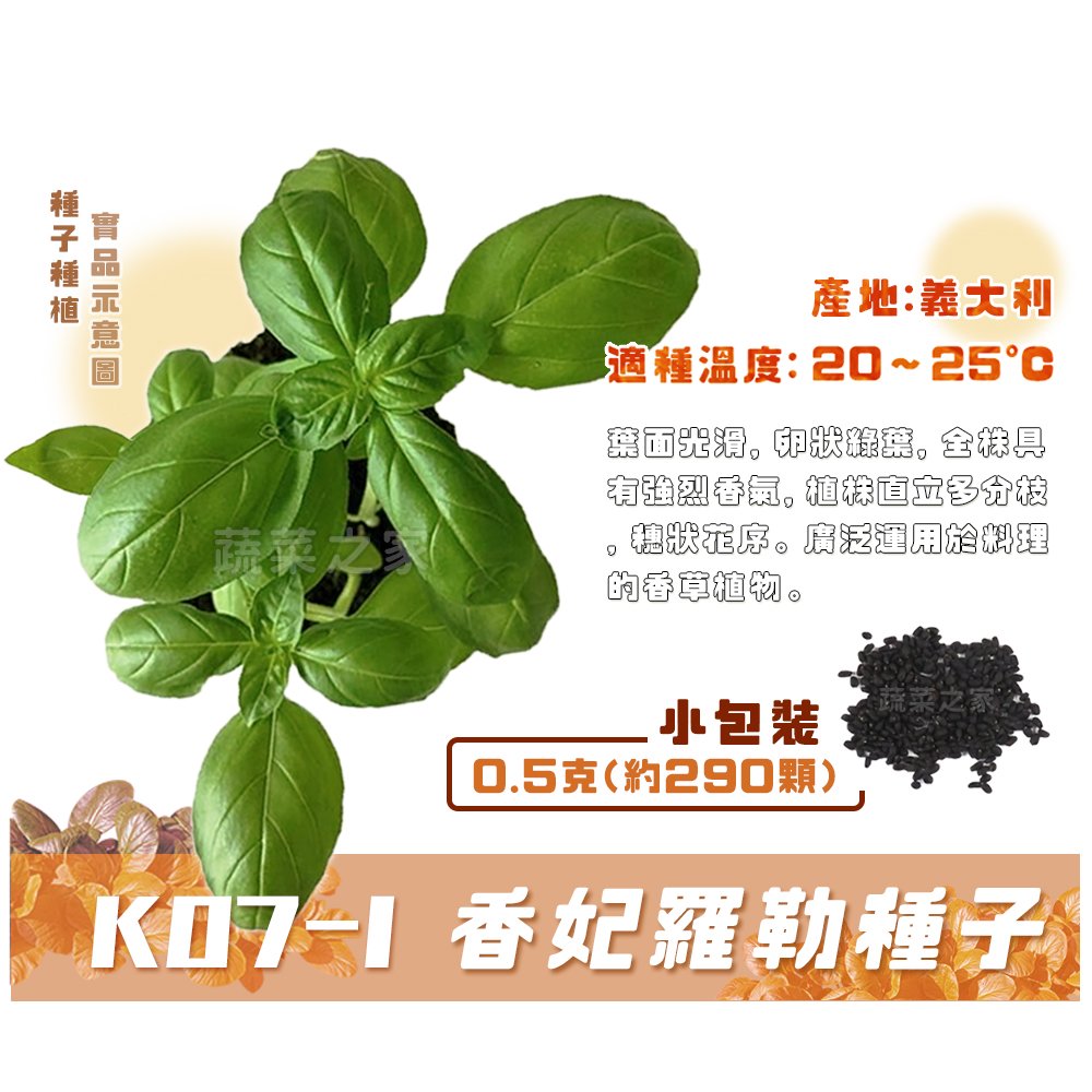【蔬菜之家】K07-1.香妃羅勒種子0.5克(約290顆) 種子 園藝 園藝用品 園藝資材 園藝盆栽 園藝裝飾