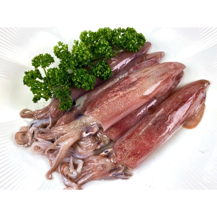 【烤肉系列】台灣東北角活凍小卷(透抽)5隻/約300g±5%~活體急速冷凍，鎖住鮮甜好滋味