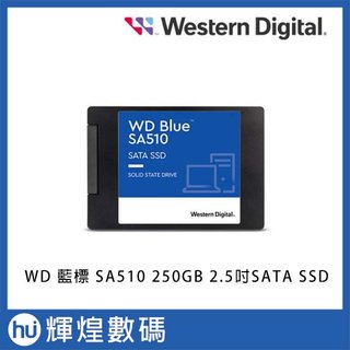 WD BLUE 藍標 SA510 250GB 2.5吋SATA SSD