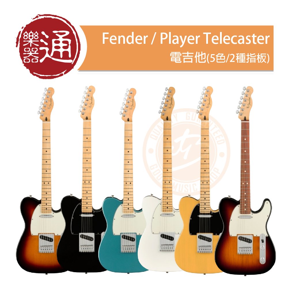 【樂器通】Fender / Player Telecaster 電吉他(5色/2種指板)