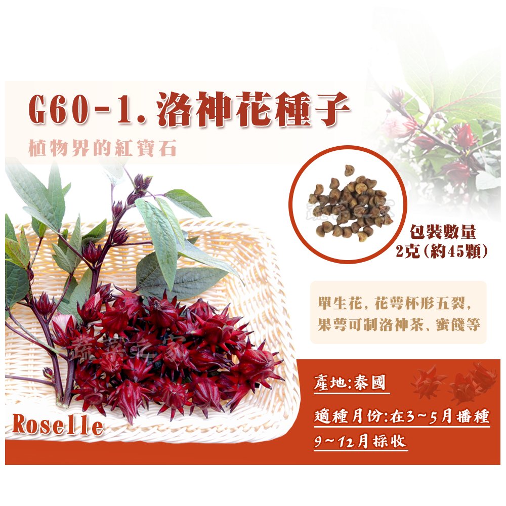 【蔬菜之家】 G60-1.洛神花種子2克(約45顆) 種子 園藝 園藝用品 園藝資材 園藝盆栽 園藝裝飾