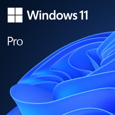 ◤全新品 含稅 免運費◢ Windows 11 中文專業隨機版-64位元 (Windows 11 Professional)