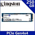 金士頓 Kingston NV2 250GB Gen4 PCIe SSD 固態硬碟 (SNV2S/250G)
