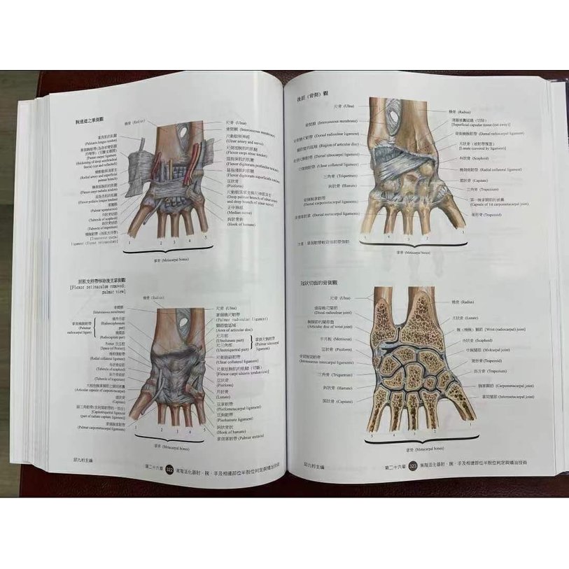 AMCT的天書 全新版「美式活化器脊骨肌肉神經矯治整療學增訂版」