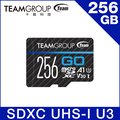 TEAM 十銓 GO Card 256GB MicroSD UHS-I U3 運動攝影機專用記憶卡 (含轉卡+終身保固)