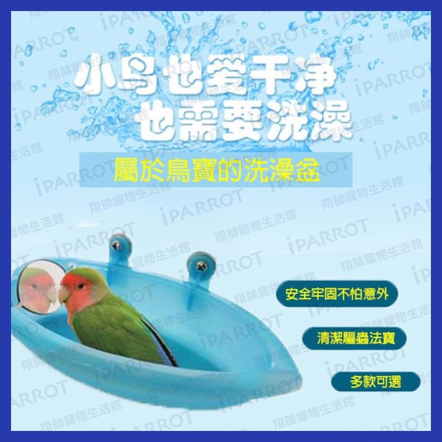 台灣現貨 | 鳥用多造型洗澡盆 | 鸚鵡洗澡盆 | 鳥清潔 | 鸚鵡用品 | 鳥用品 | 多款可選 | 翔帥寵物生活館(249元)