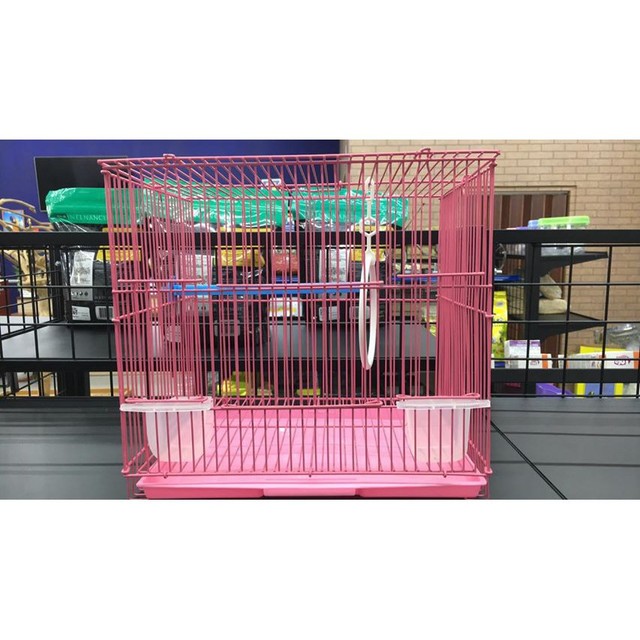 台灣現貨|9吋籠|鸚鵡籠子|鳥籠|外出籠|鳥用品|外出籠|附兩個牡丹杯|站棍一支|小鞦韆|翔帥寵物生活館(450元)