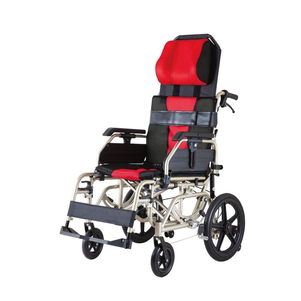 輪椅 必翔 PH-166 空中傾倒型看護輪椅(未滅菌)