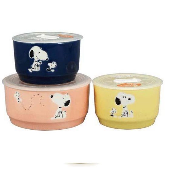 史努比 Snoopy 日本製 瓷碗禮盒 瓷碗 瓷器 保鮮碗 可微波 禮物【時時購-居家生活選物店】