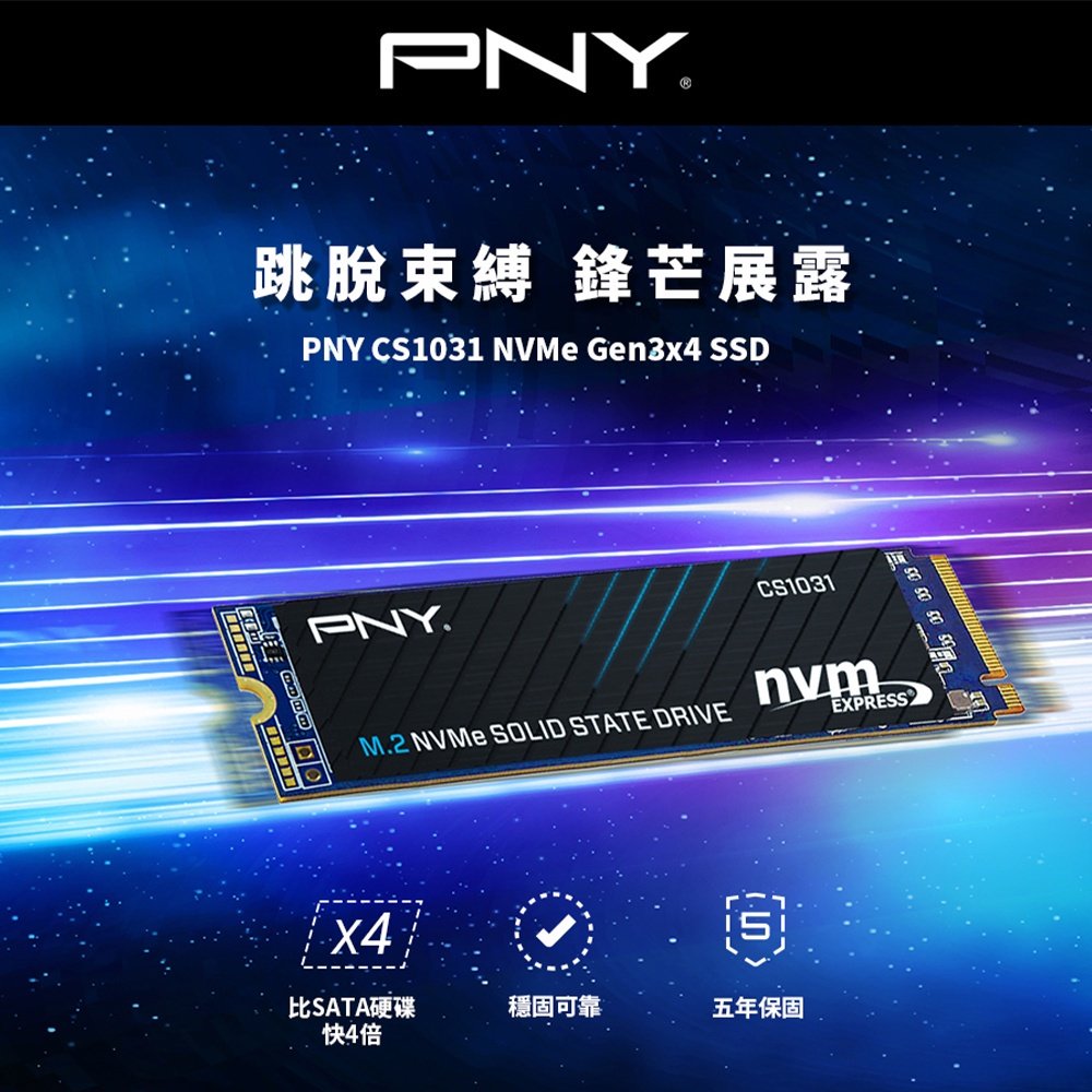 含稅公司貨】PNY必恩威CS1031 2TB 1TB 500G M.2 2280 PCIe Gen3 SSD