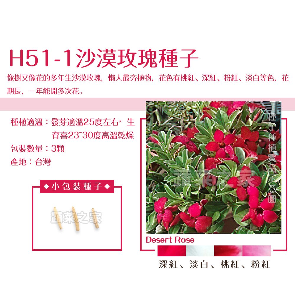 【蔬菜之家】H51-1.沙漠玫瑰種子3顆