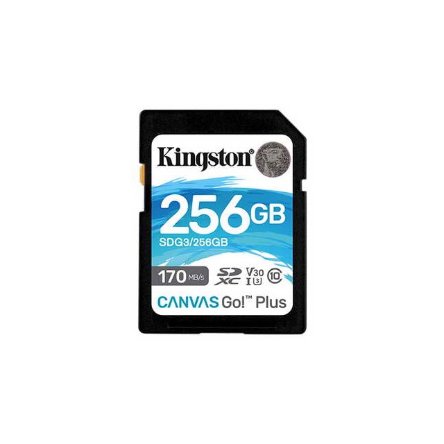 Kingston SDG3/256GB 記憶卡