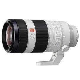 SONY FE 100-400mm F4.5-5.6 GM OSS (平輸) - PChome 商店街