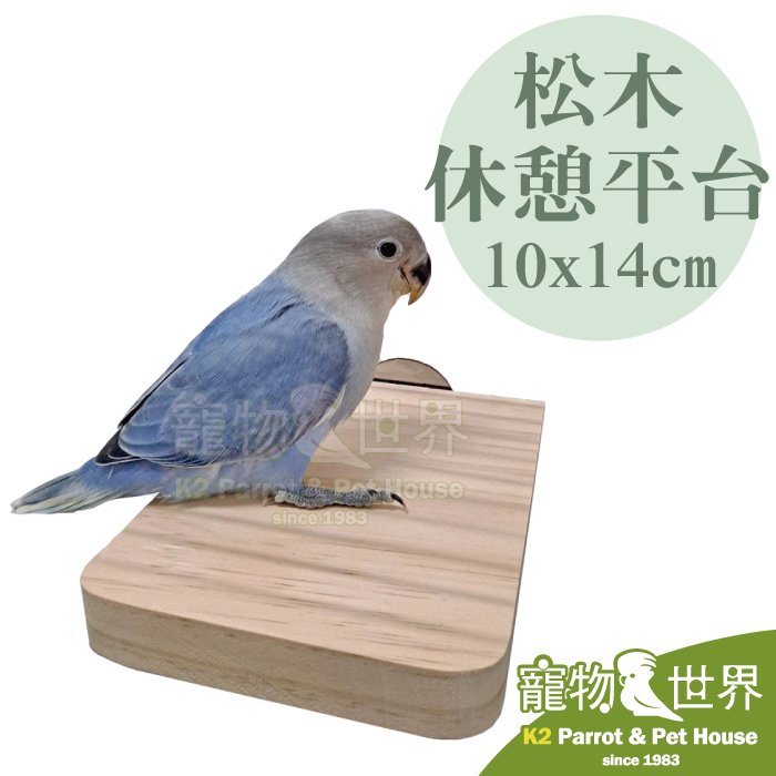 《寵物鳥世界》台灣製 松木休憩平台-單邊鎖-10*14cm│天然原木跳台實木站片啃咬站板架 小型中小型鳥鸚鵡 YU138