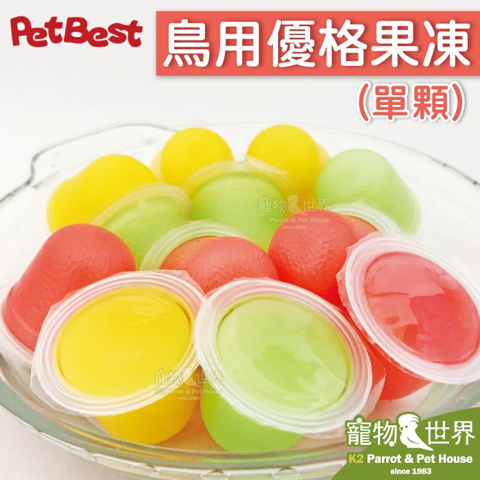 《寵物鳥世界》台灣製PetBest 派伊梅三味鳥用優格果凍 (單顆)│隨機口味 鸚鵡 鳥點心 水果果凍 GS151