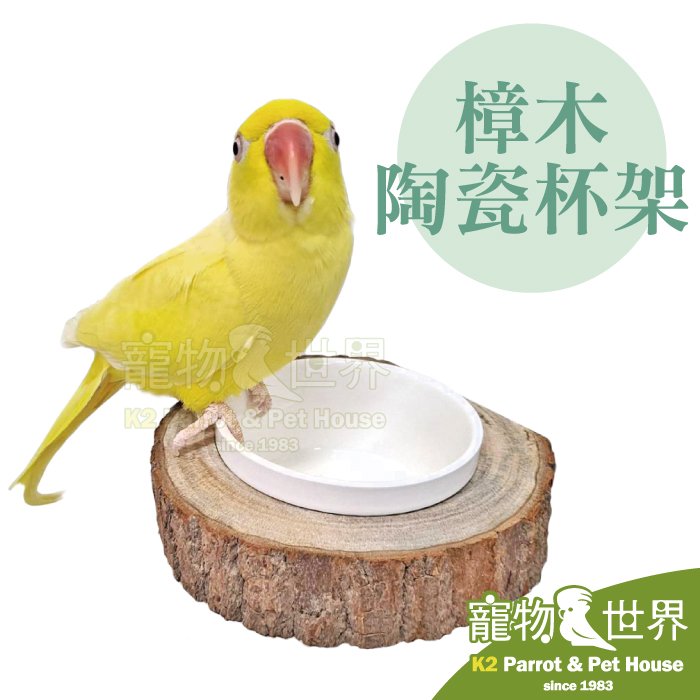 缺《寵物鳥世界》台灣製 樟木陶瓷杯架 15*15cm │ 原木實木鸚鵡食碗 飼料盒餵食碗水杯 中型以下鳥寶 YU128