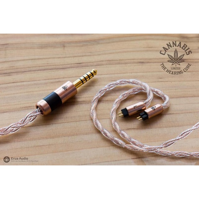 Erua Audio Re-Master BS plus 2pin 4.4mm | www.ankuramindia.com