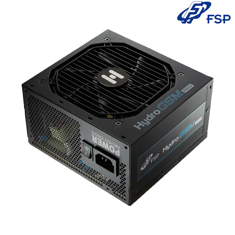 FSP 全漢 Hydro GSM PRO 650W 電源供應器 金牌 半模組 黑色 HGS-650M