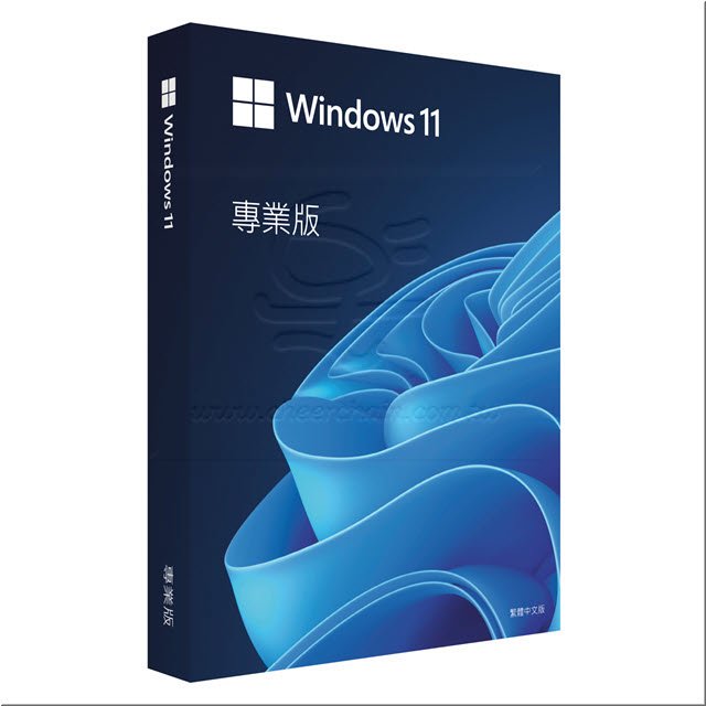 微軟 Microsoft Windows 11 Pro 中文專業版盒裝