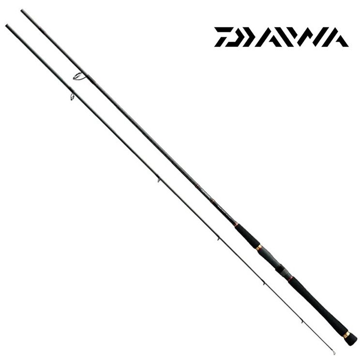 ◎百有釣具◎ DAIWA SEABASS HUNTER X (93M•R) 海鱸竿 並繼路亞竿~高品質碳纖維竿身 可將路亞準確拋投