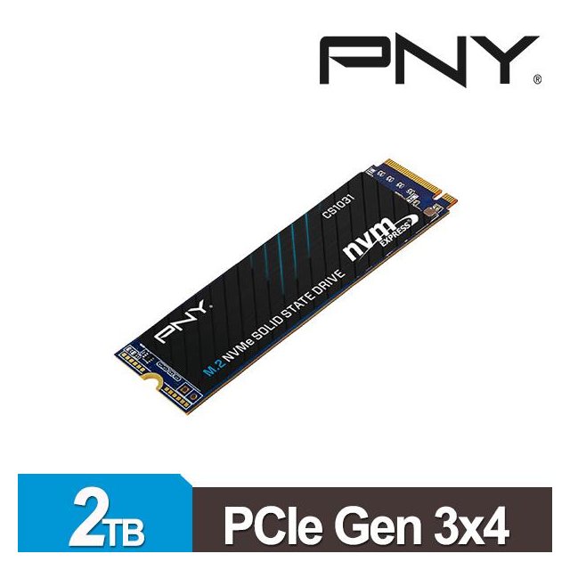 聊聊享優惠) PNY CS1031 2TB M2.2280 PCIe SSD固態硬碟(台灣本島免運費