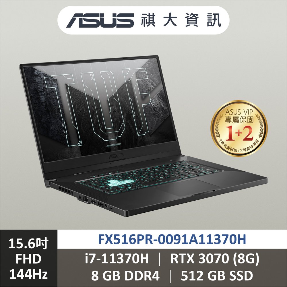ASUS 華碩 FX516PR-0091A11370H 電競筆電