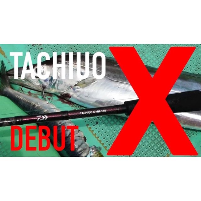 ◎百有釣具◎ DAIWA TACHIUO X HH-180 並繼直柄 船釣白帶竿