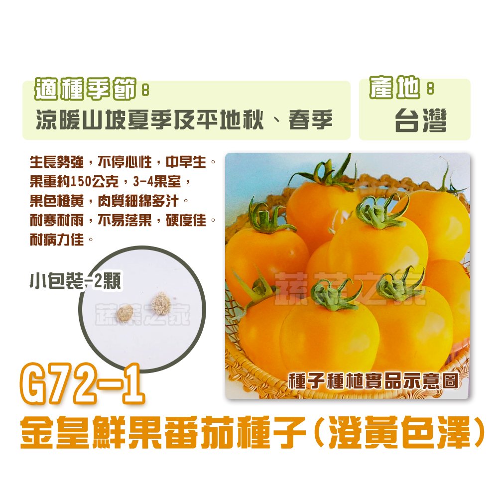【蔬菜之家】G72-1.金皇鮮果番茄種子(澄黃色澤)2顆 種子 園藝 園藝用品 園藝資材 園藝盆栽 園藝裝飾