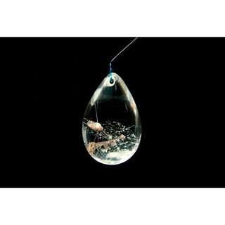 [Disk水晶][收藏珍品]激光料-近全美銀髮晶共生異象水滴墜H-26(高33寬21厚15mm重13克)