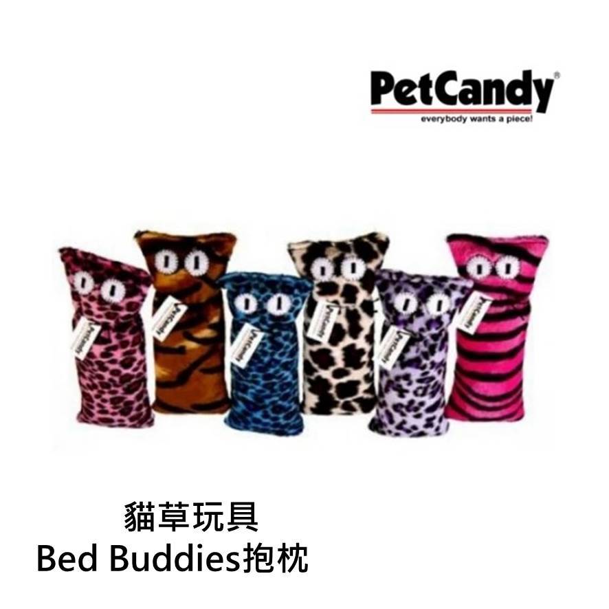 美國PetCandy 貓草玩具 Bed Buddies抱枕 耐磨 貓玩具 隨機出貨不挑款