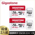 Gigastone 立達 Gaming Plus microSDXC UHS-Ⅰ U3 256GB遊戲專用記憶卡-2入組(256G A1 V30)