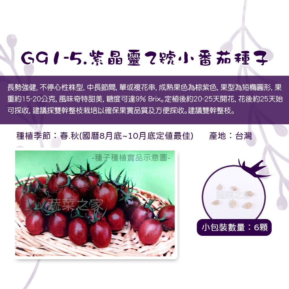 【蔬菜之家】G91-5.紫晶靈2號小番茄種子6顆 種子 園藝 園藝用品 園藝資材 園藝盆栽 園藝裝飾