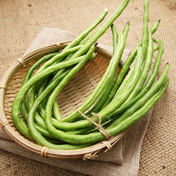 【拈花微笑】白皮菜豆 | 種子 | 5 g| 非基因改造種子 | 蔬菜 | 蔬果 | 有機無毒 | 高發芽率