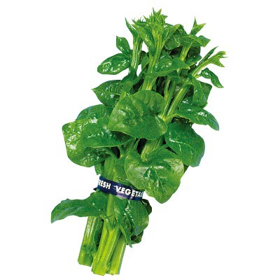 【拈花微笑】皇宮菜 | 種子 | 4 g| 非基因改造種子 | 蔬菜 | 蔬果 | 有機無毒 | 高發芽率