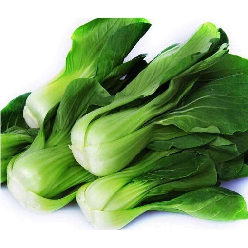 【拈花微笑】青江菜 | 種子 | 15 g| 非基因改造種子 | 蔬菜 | 蔬果 | 有機無毒 | 高發芽率