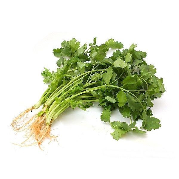 【拈花微笑】香菜 | 種子 | 20 g| 非基因改造種子 | 蔬菜 | 蔬果 | 有機無毒 | 高發芽率