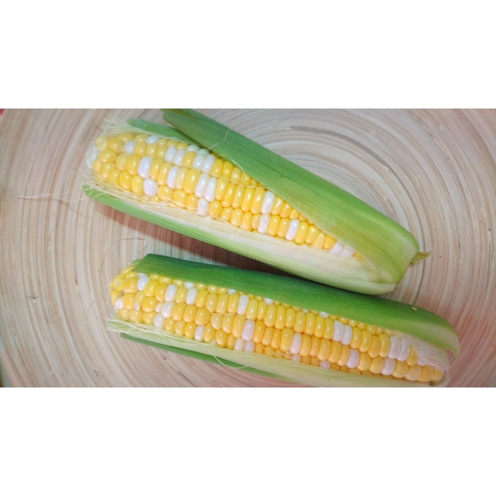 【拈花微笑】水果玉米 | 種子 | 5 g| 非基因改造種子 | 蔬菜 | 蔬果 | 有機無毒 | 高發芽率