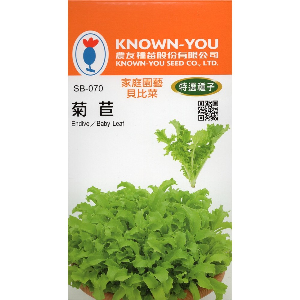 【拈花微笑】菊苣 | 香藥草種子 | 5 g| 非基因改造種子 | 蔬菜 | 蔬果 | 有機無毒 | 高發芽率