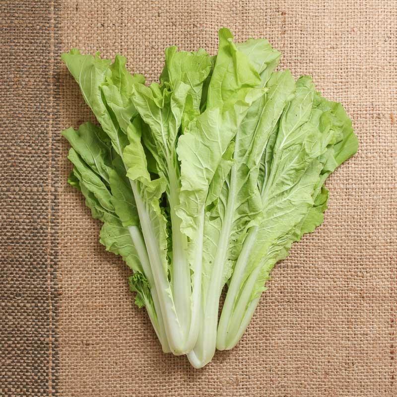 【拈花微笑】皺葉小白菜 | 種子 | 12 g| 非基因改造種子 | 蔬菜 | 蔬果 | 有機無毒 | 高發芽率