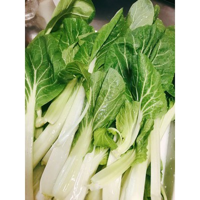 【拈花微笑】日本白菜 | 種子 | 15 g| 非基因改造種子 | 蔬菜 | 蔬果 | 有機無毒 | 高發芽率