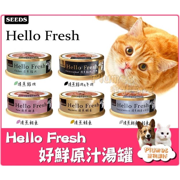 【Plumes寵物部屋】Hello Fresh《 好鮮 原汁湯罐 50g 》SEEDS 惜時 清蒸湯罐 貓湯罐 貓罐頭