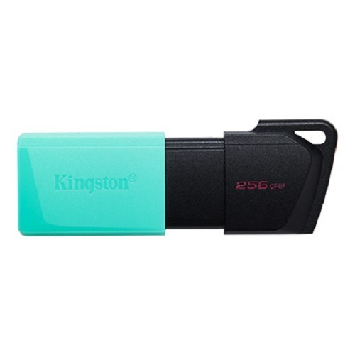 金士頓KINGSTON DTXM 256GB隨身碟，USB3.2 Gen1 DataTraveler Exodia M 黑綠