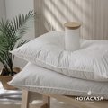 《HOYACASA》法國飯店級30/70羽絨枕(一入組)