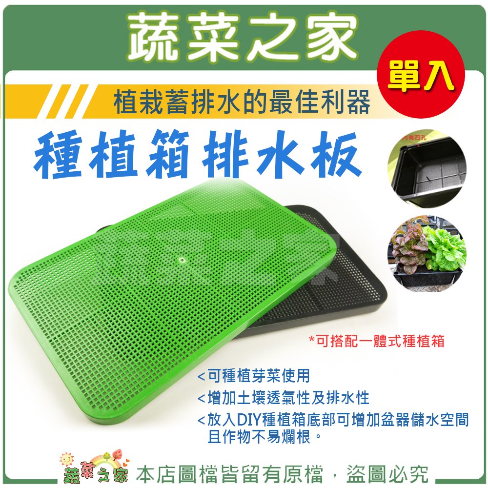 【蔬菜之家011-A62-GR】種植箱排水板(綠色)