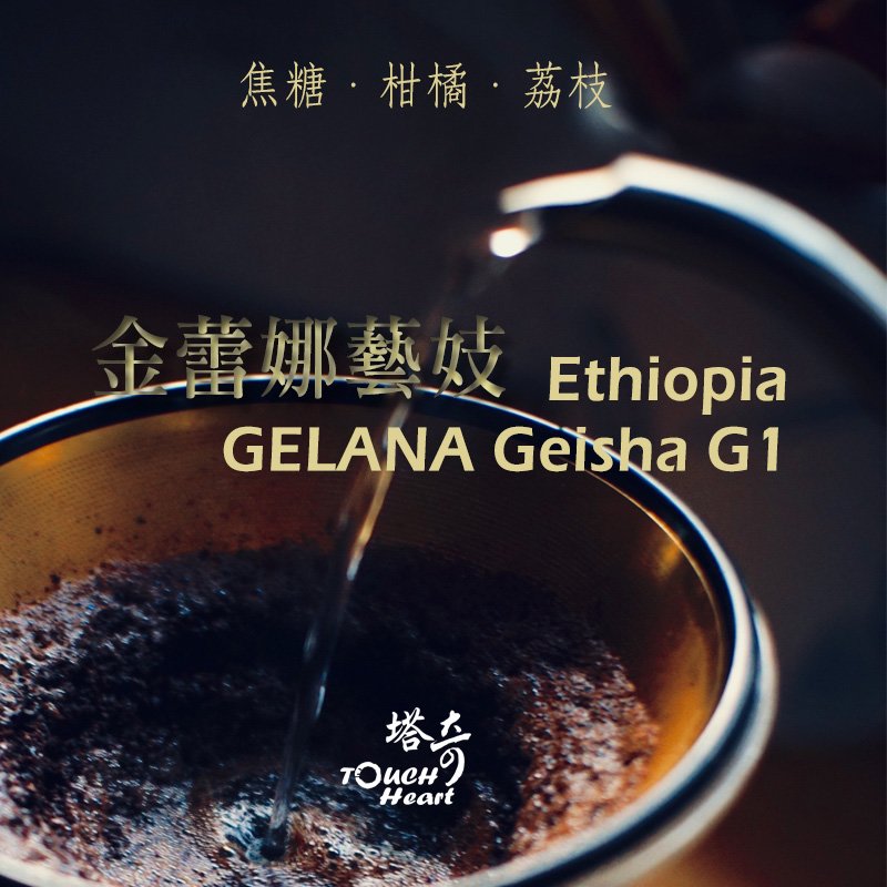 金蕾娜藝妓 GELANA Geisha G1 咖啡豆 自家烘焙 G1等級 精品咖啡 單一莊園 淺烘焙