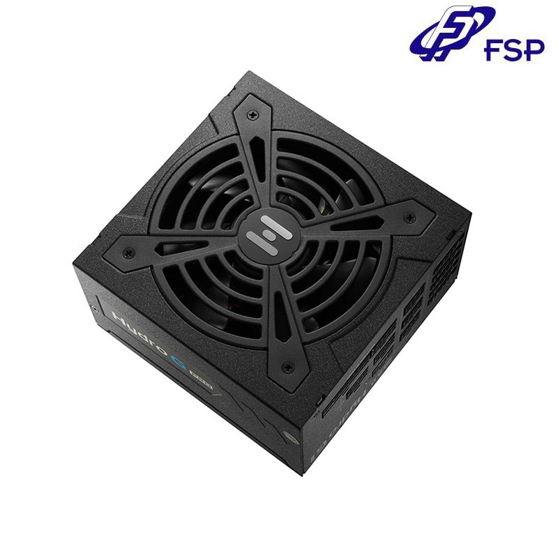 FSP 全漢 Hydro G PRO 1000W PCIE 5.0 金牌 全模 電源供應器 /紐頓e世界
